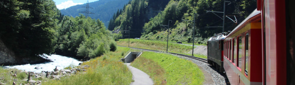 Trein in de Zwitserse Alpen