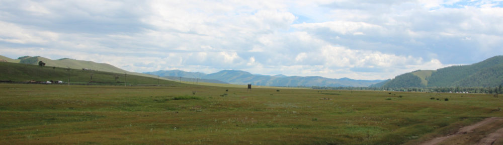 Mongoolse steppe